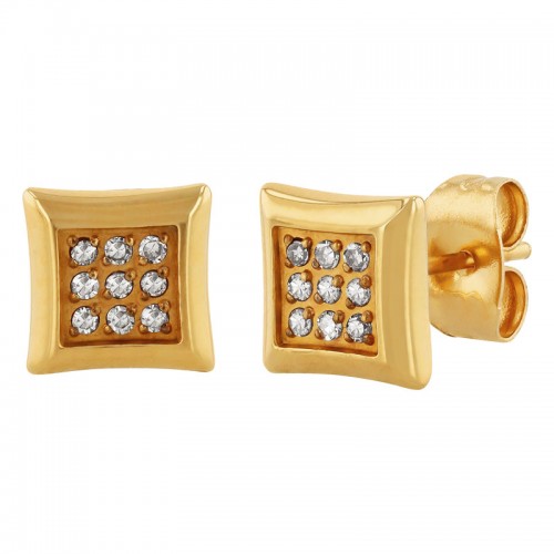 1/10 CTW Stainless Steel Yellow Finish Champagne Diamond Earrings
